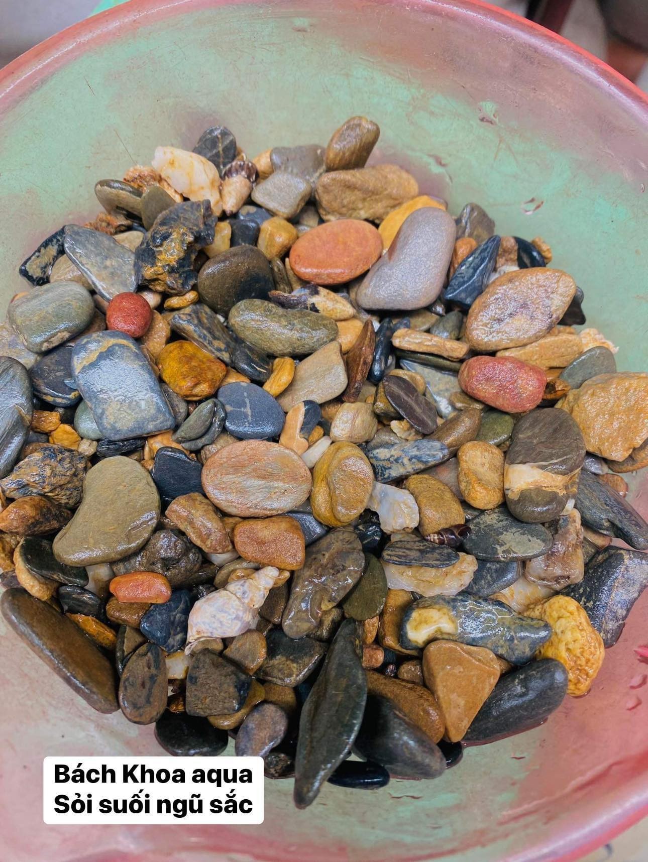 Sạn suối ngũ sắc thủy sinh